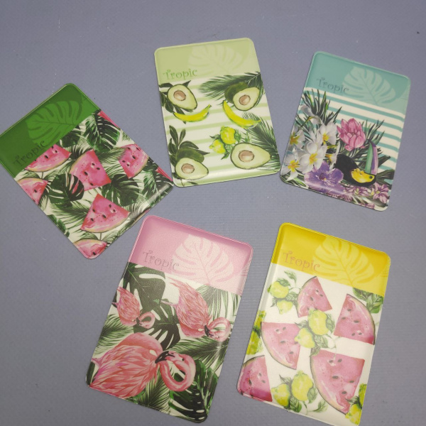 Обложка-карман для проездных документов, карт, пропусков Tropic, 100х65 мм, МИКС